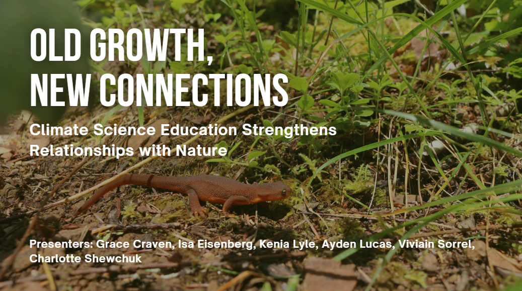 Old Growth, New Connections