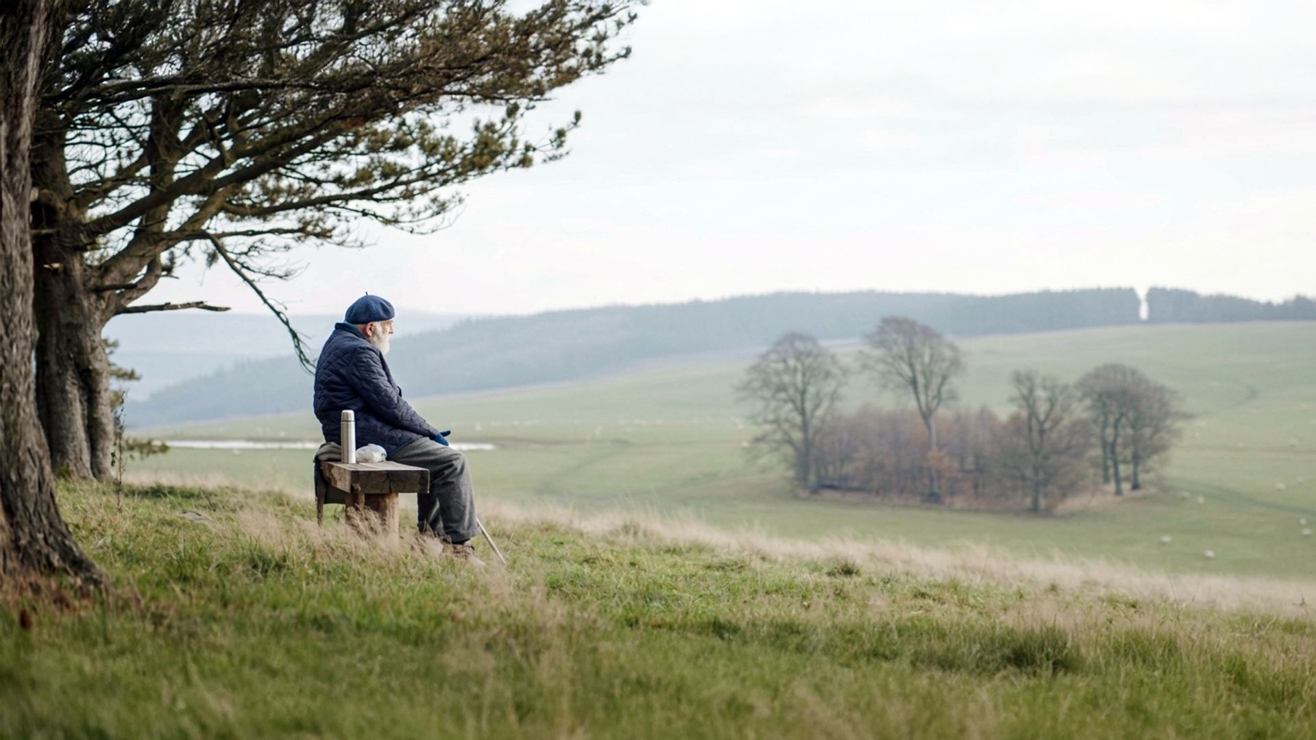 The Man on The Hill 1.png