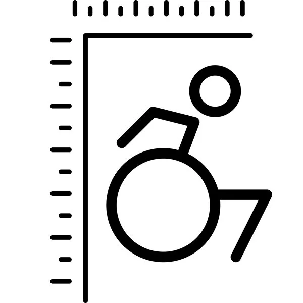 A black and white icon of a soul mobility specification document