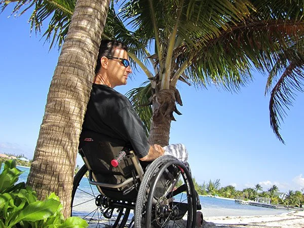 Person in a wheelchair sitting on a beach near a palm tree, looking towards the water.