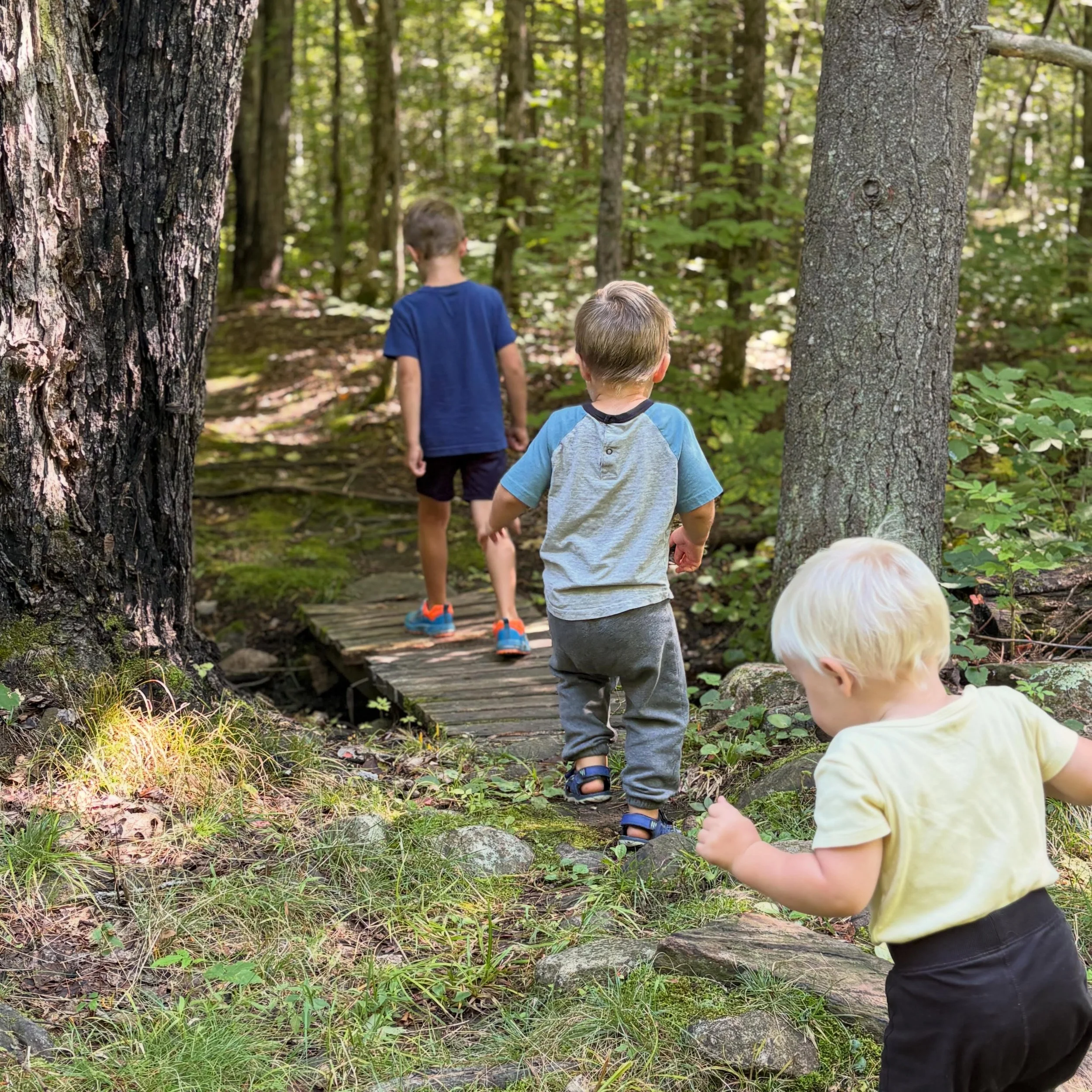 My little hiking buddies 🥾🏔️🌳