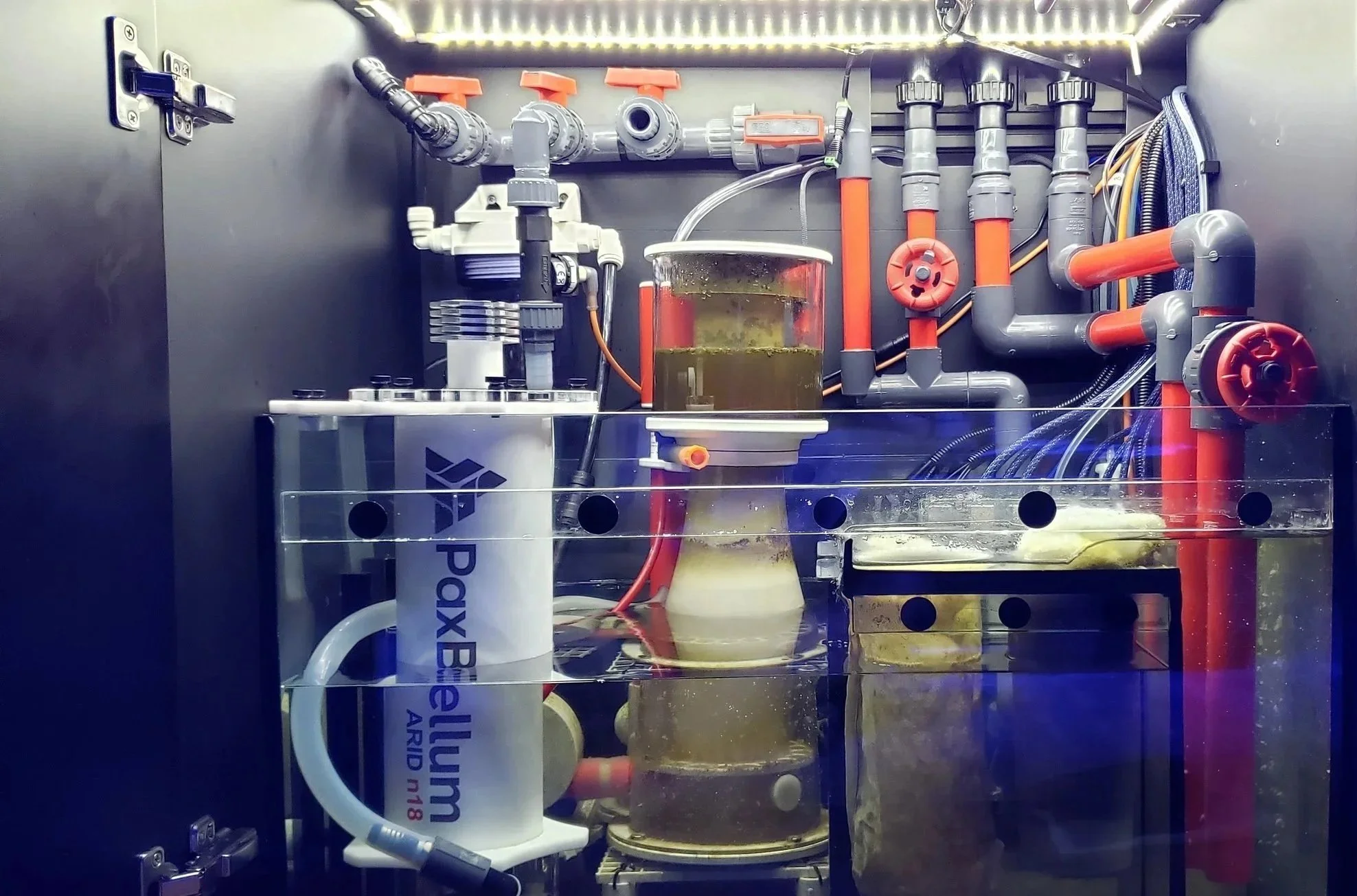 Custom aquarium plumbing and filtration system designed for efficiency, reliability, and reduced maintenance