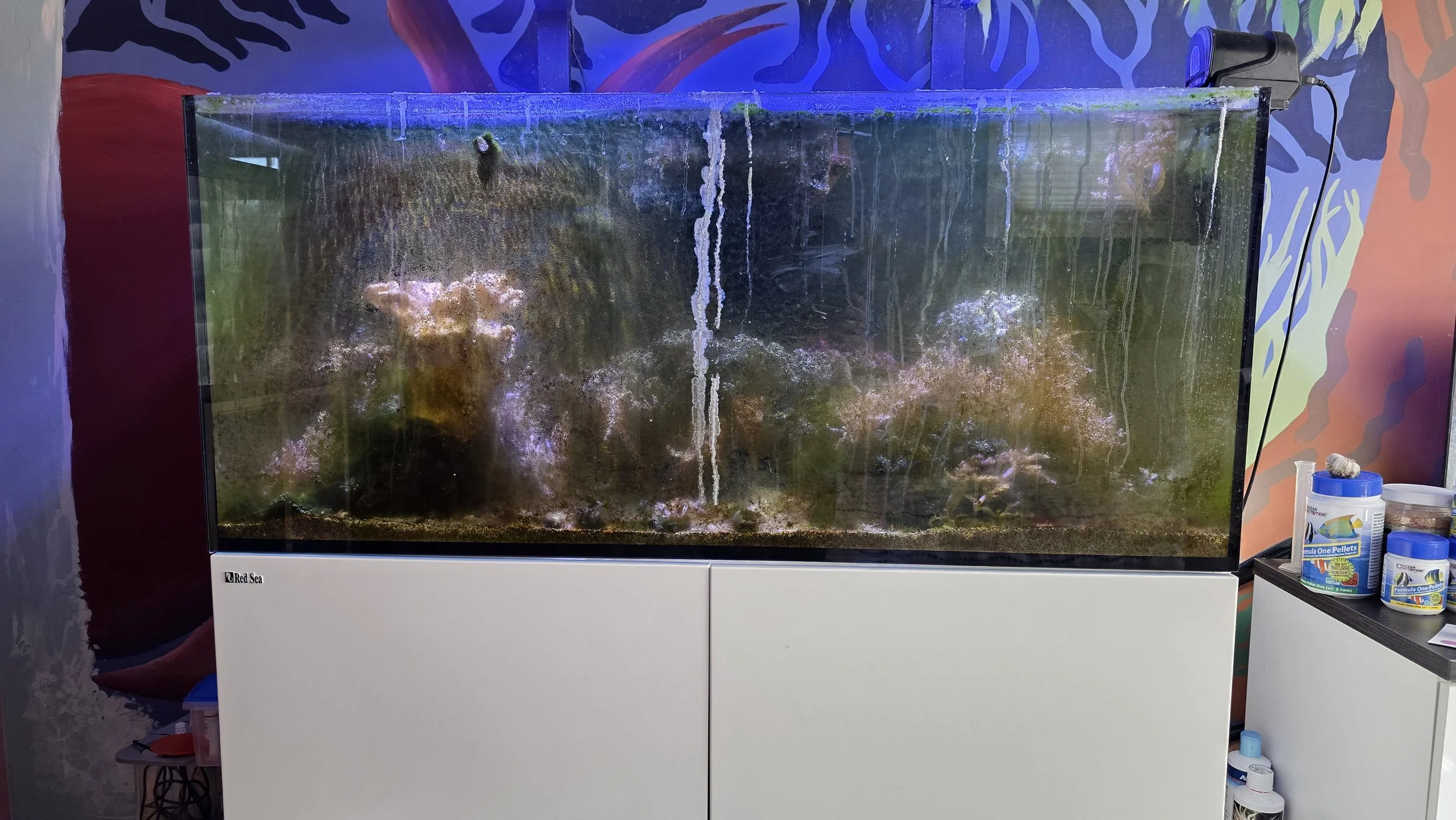 Reef Aquarium Restoration
