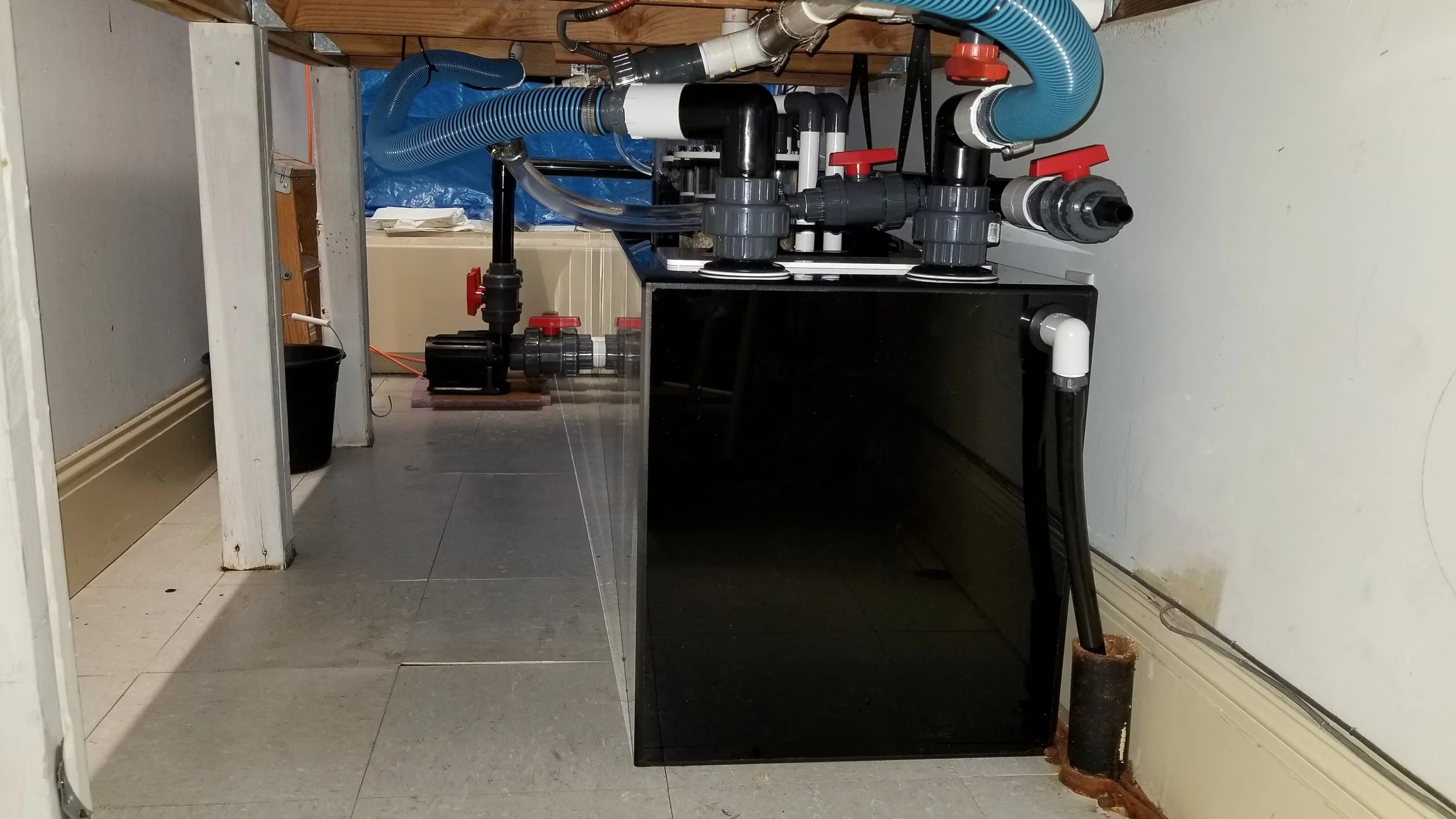 Custom aquarium filtration system upgrade for improved efficiency and long-term reef stability