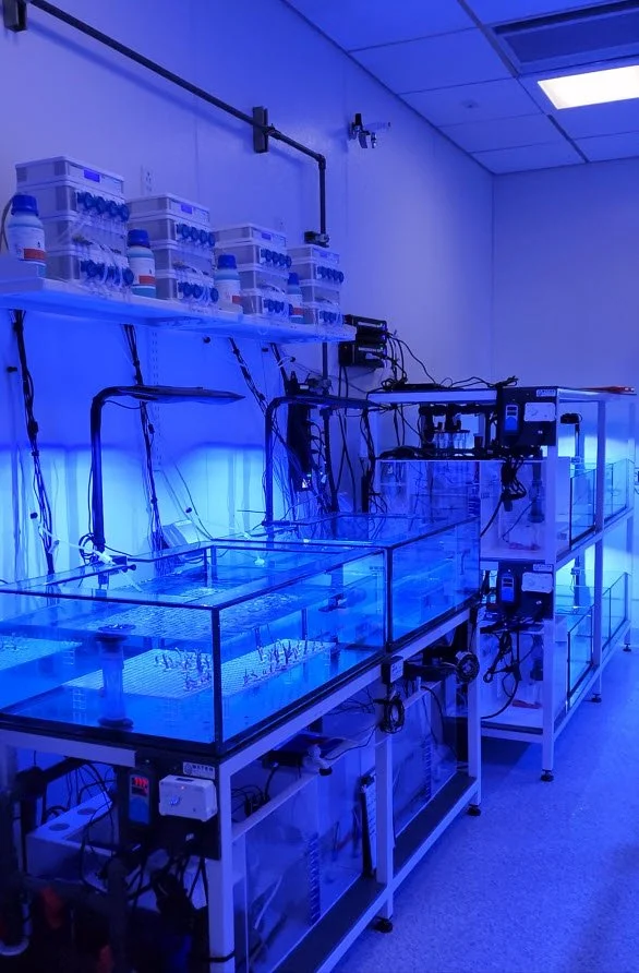 Advanced reef aquarium monitoring and control system used for coral research and system stability analysis