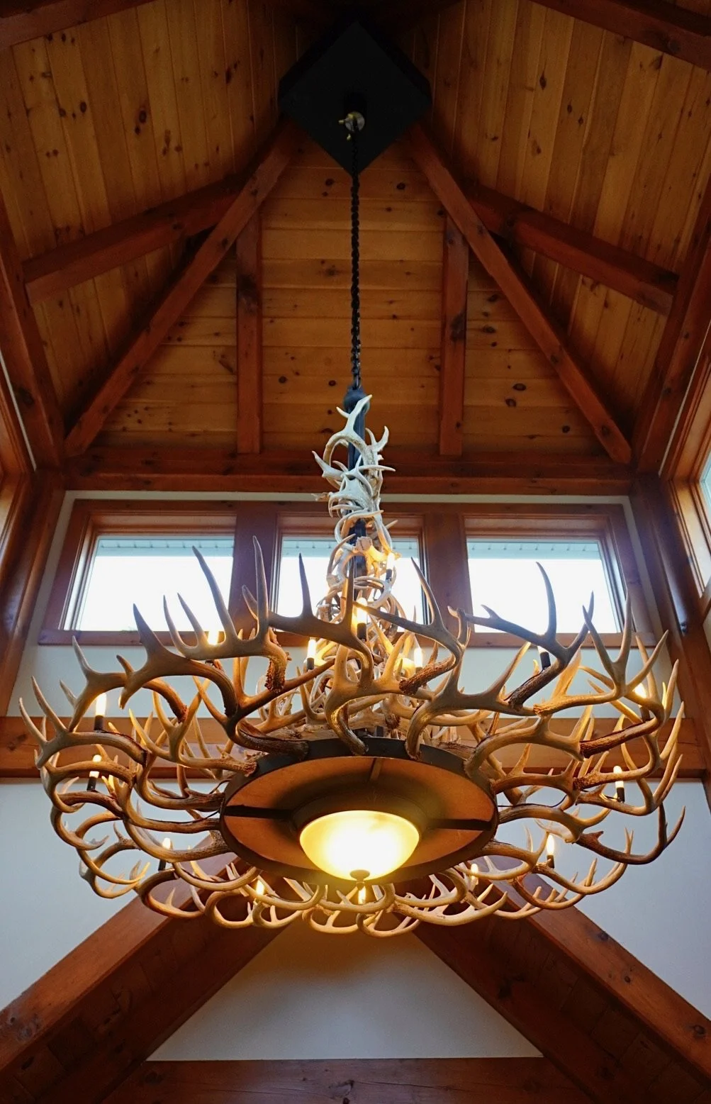 Chandelier made of antlers hanging from a wooden vaulted ceiling with windows.