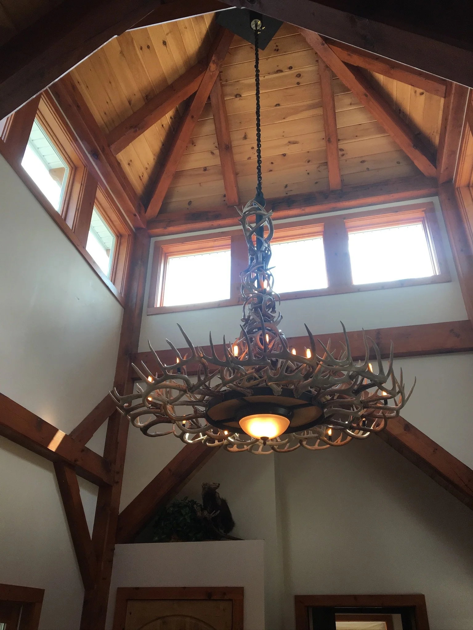 Interior view of a high ceiling with wooden beams and paneling, large windows near the ceiling, and a decorative chandelier made of antlers hanging from the ceiling.