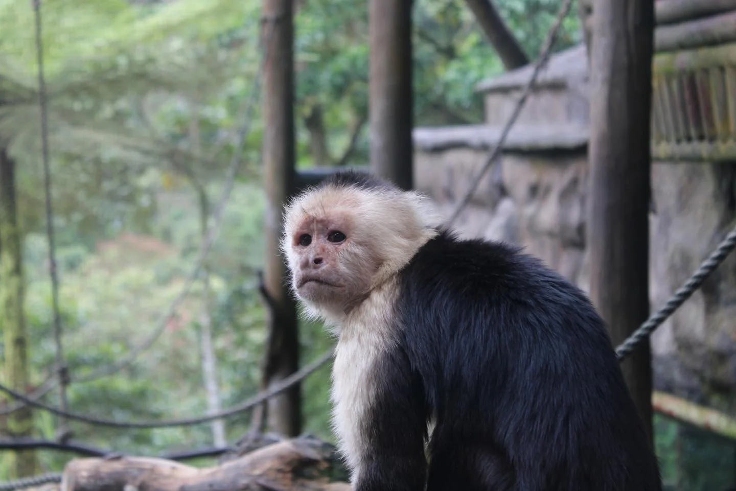 7ADD9EFC-1156-426D-A274-808E08F14B2D (1).JPG