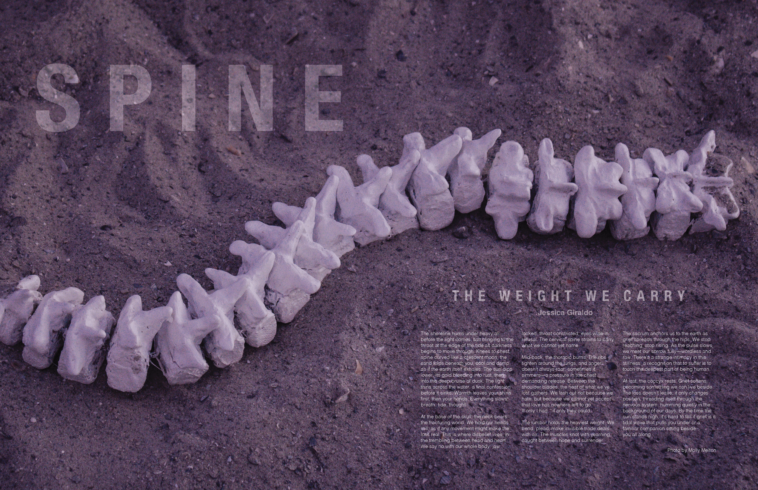 updated spreads issue 10 (dragged) 3.png