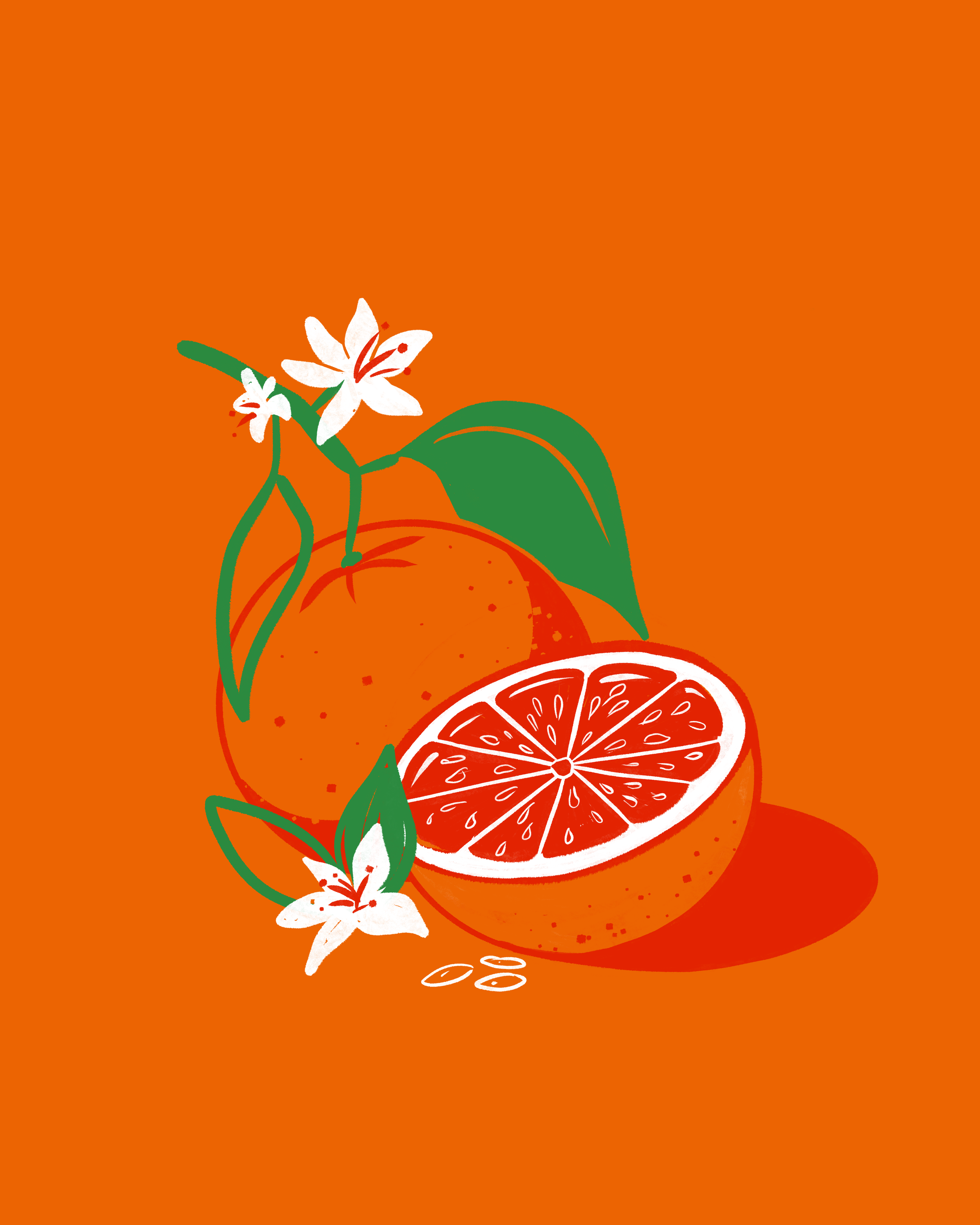 Orange.png