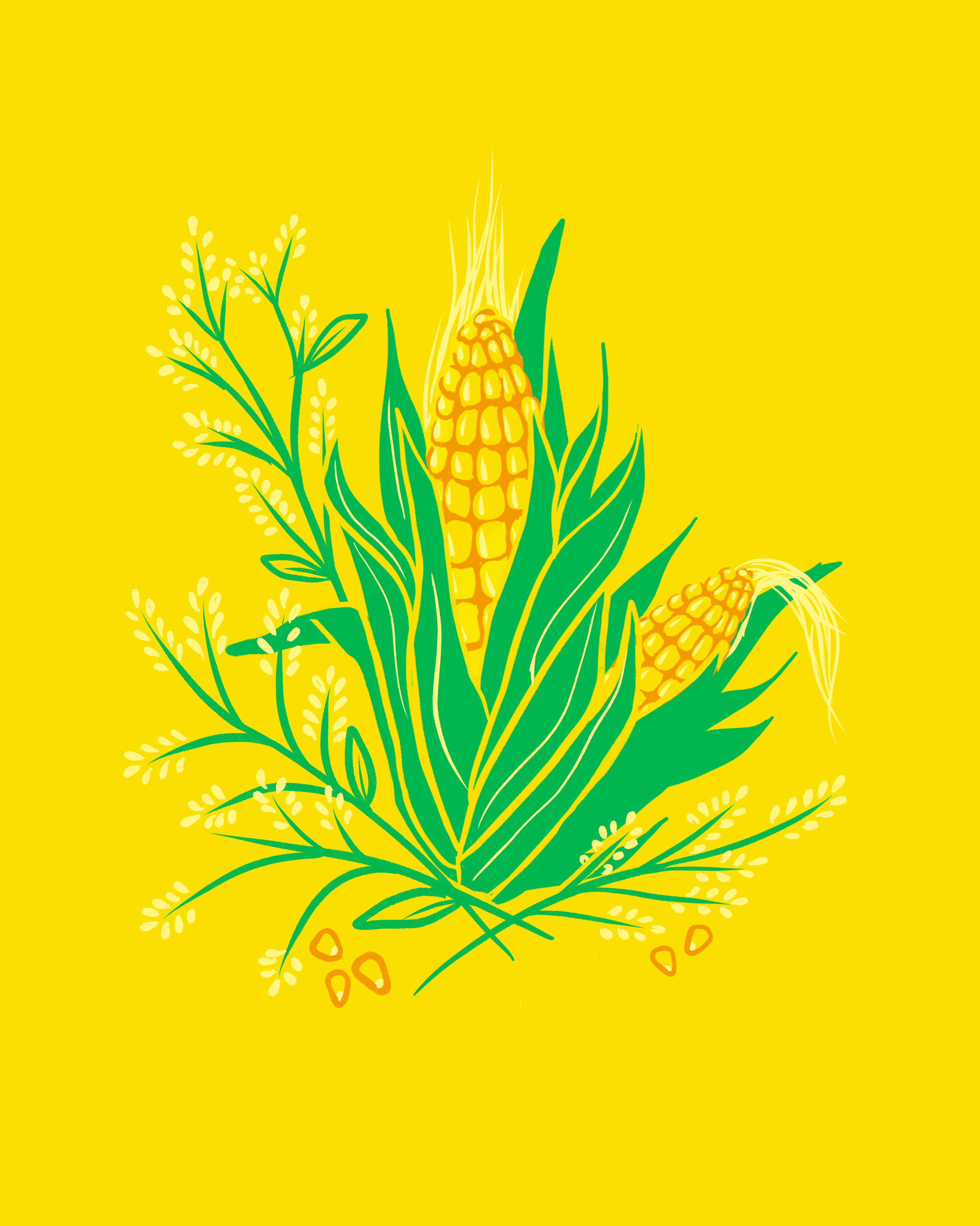 Corn.png