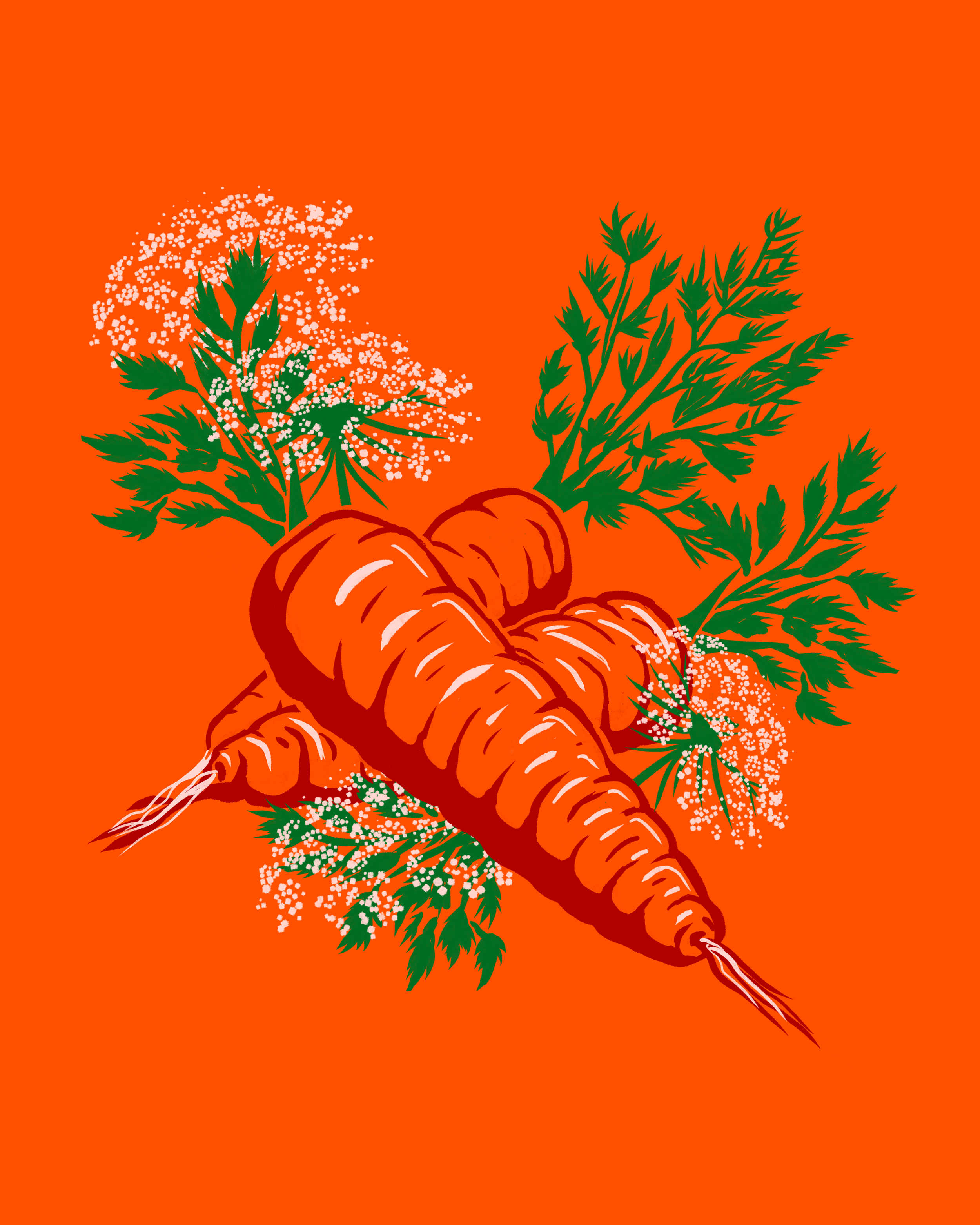 Carrot.png