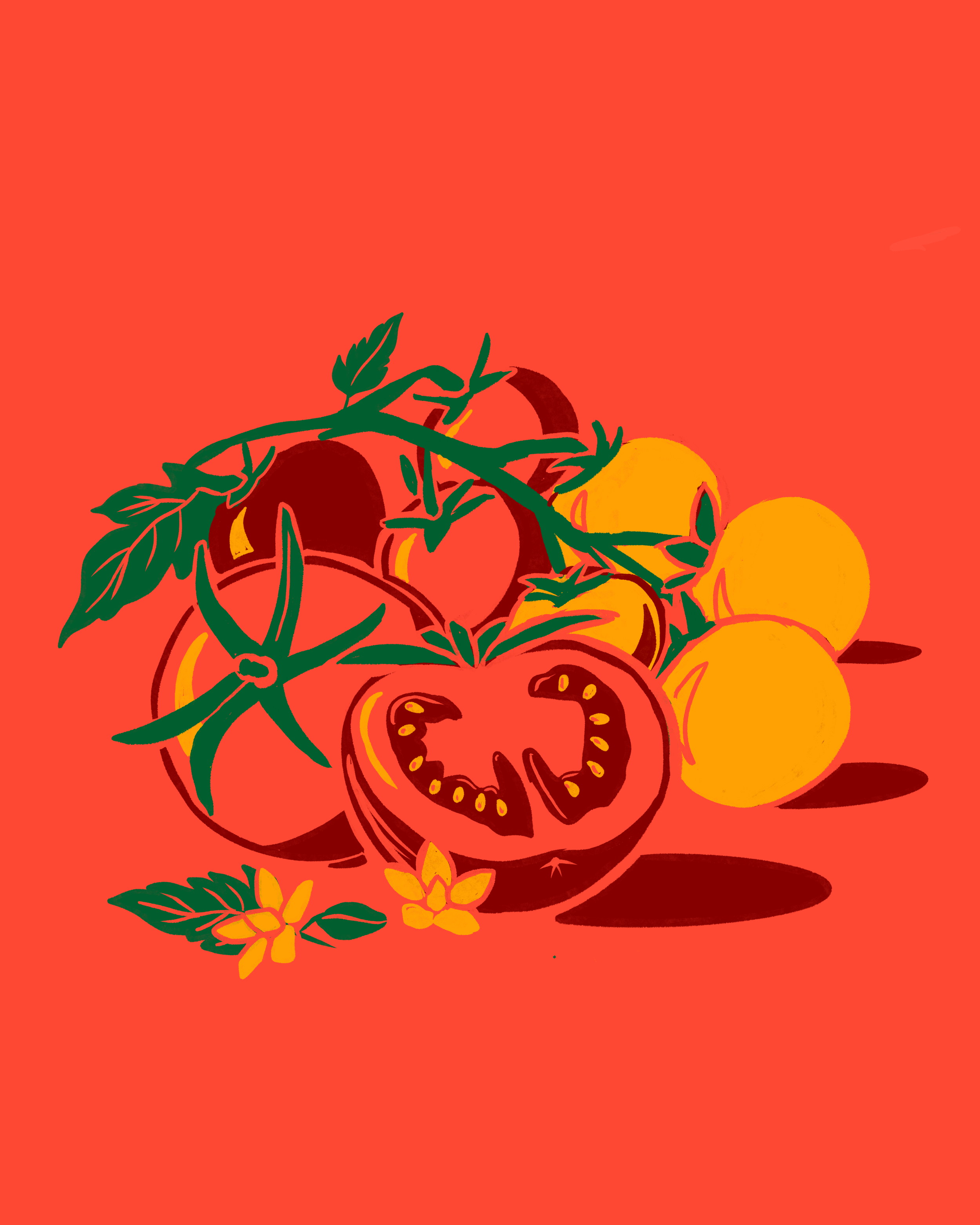 Tomato.png