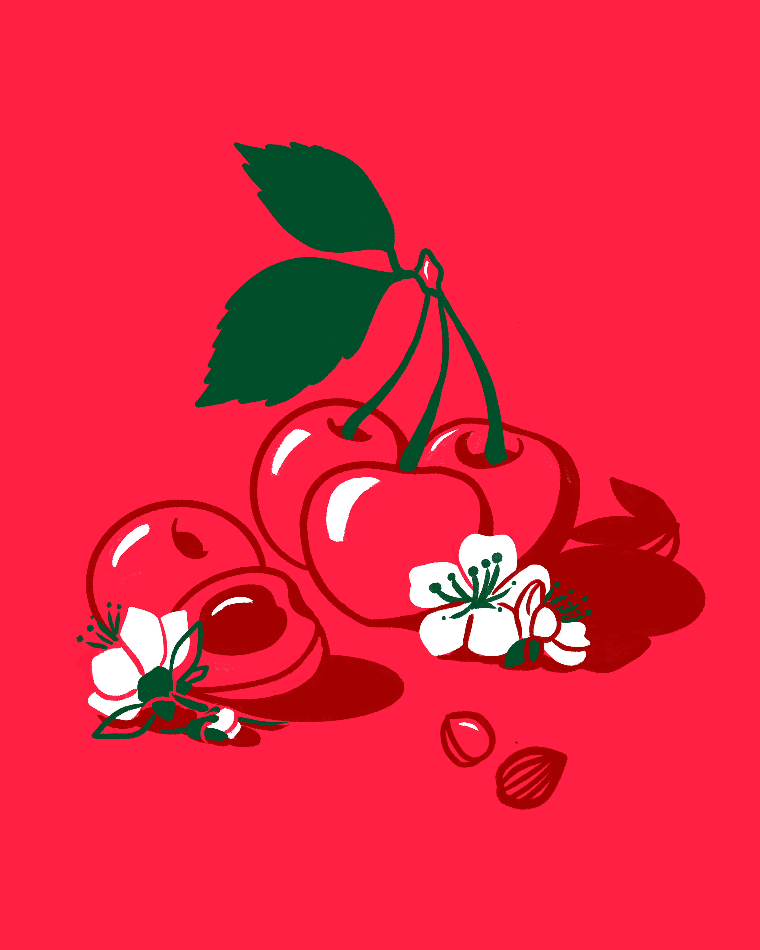 Cherry.png