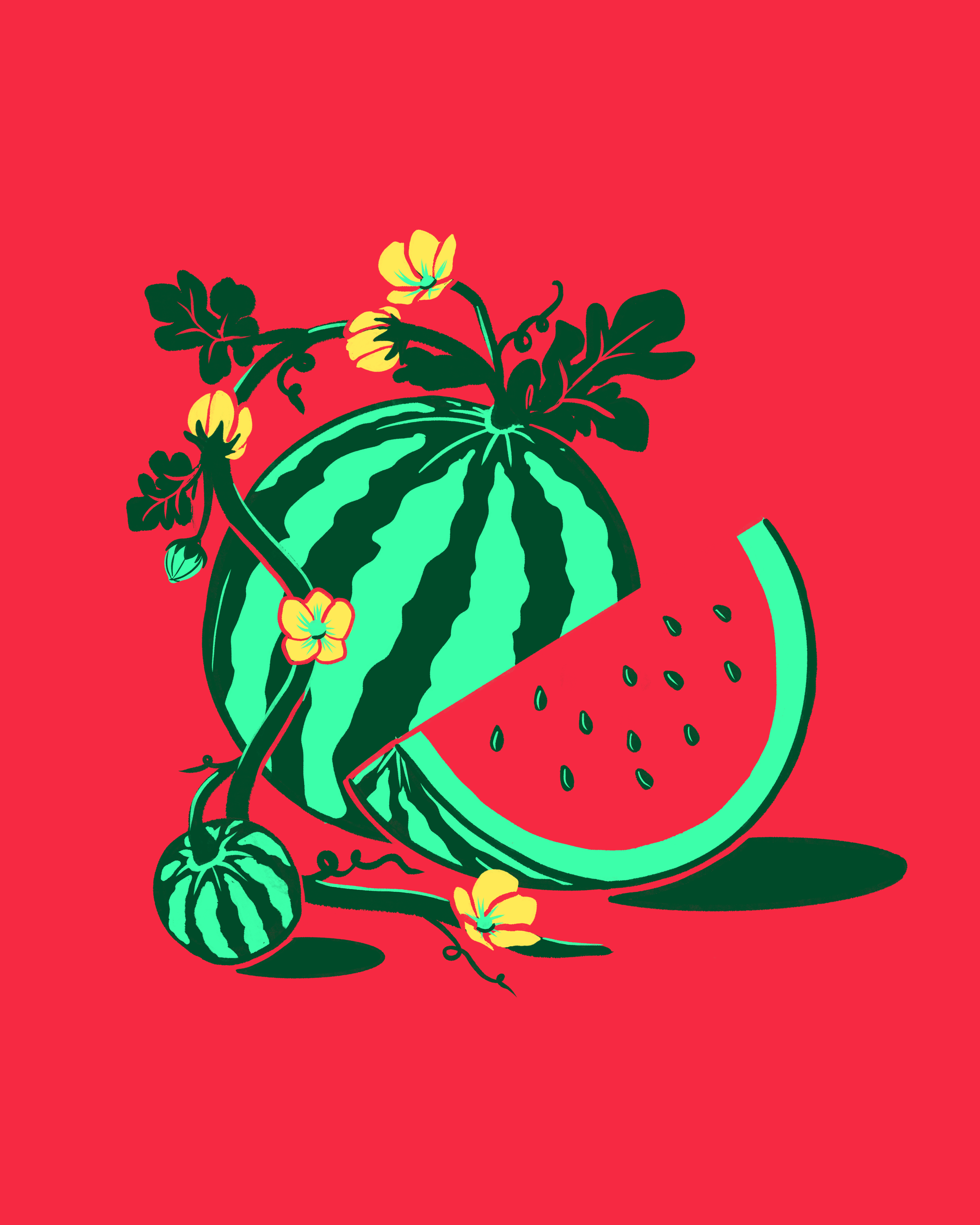 Watermelon.png