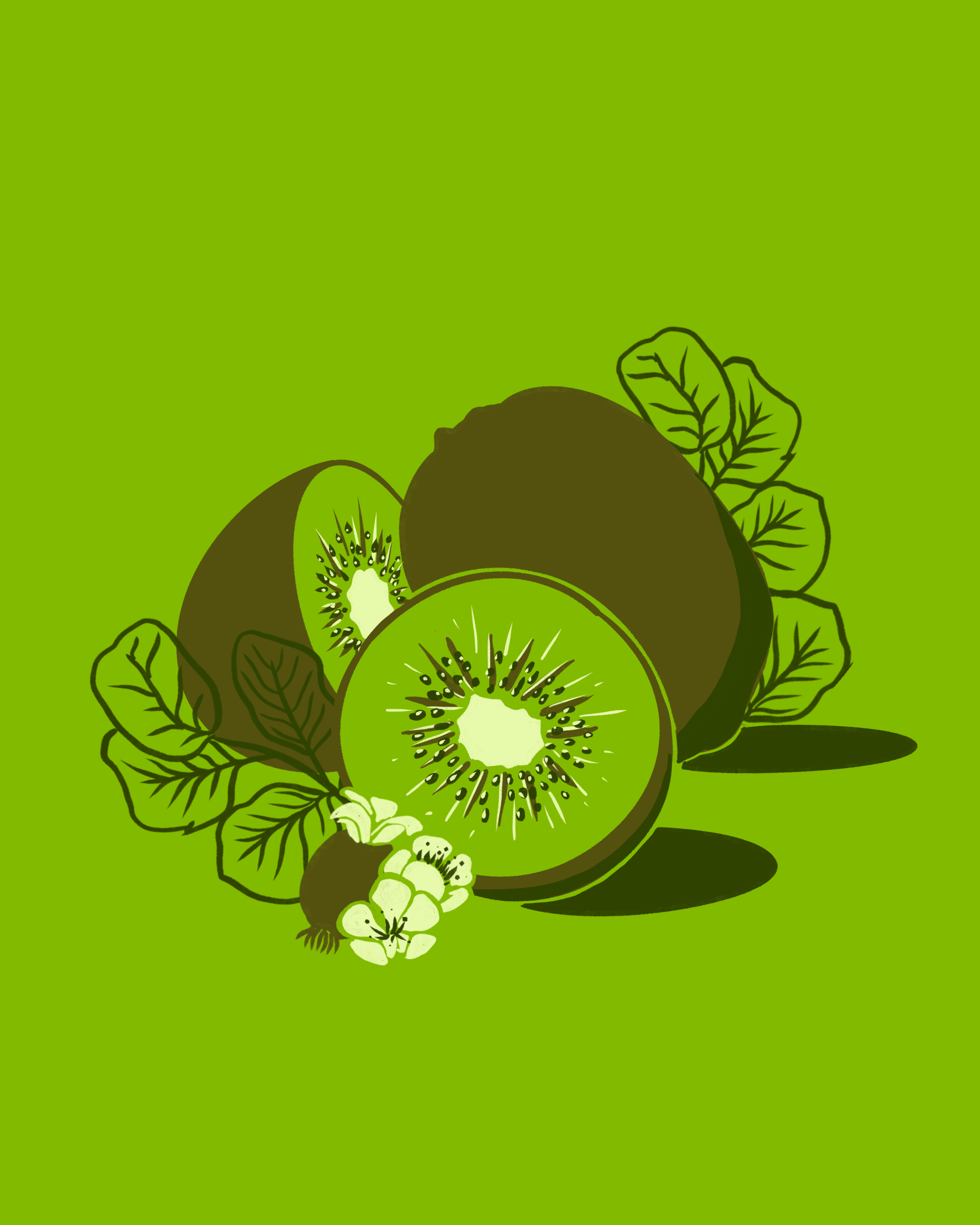 Kiwi.png