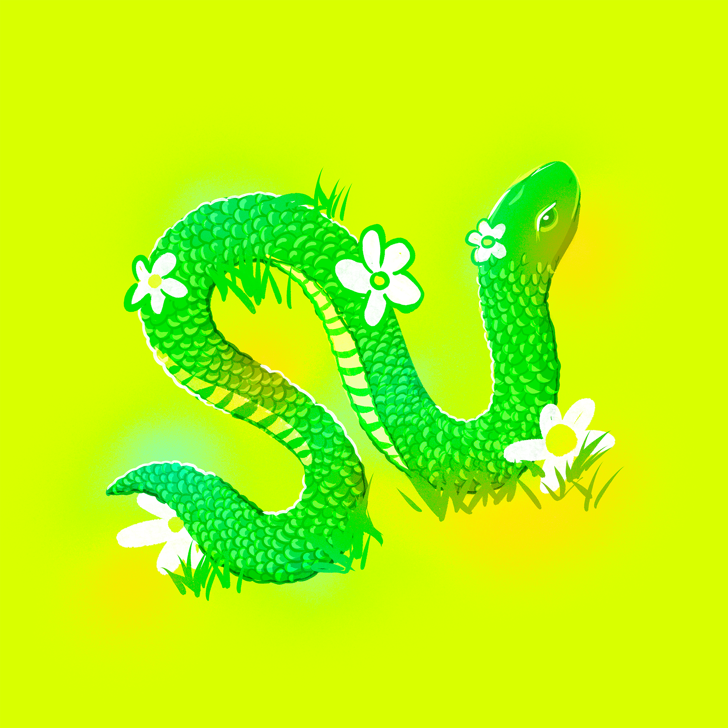 Untitled_Artwork 7.png