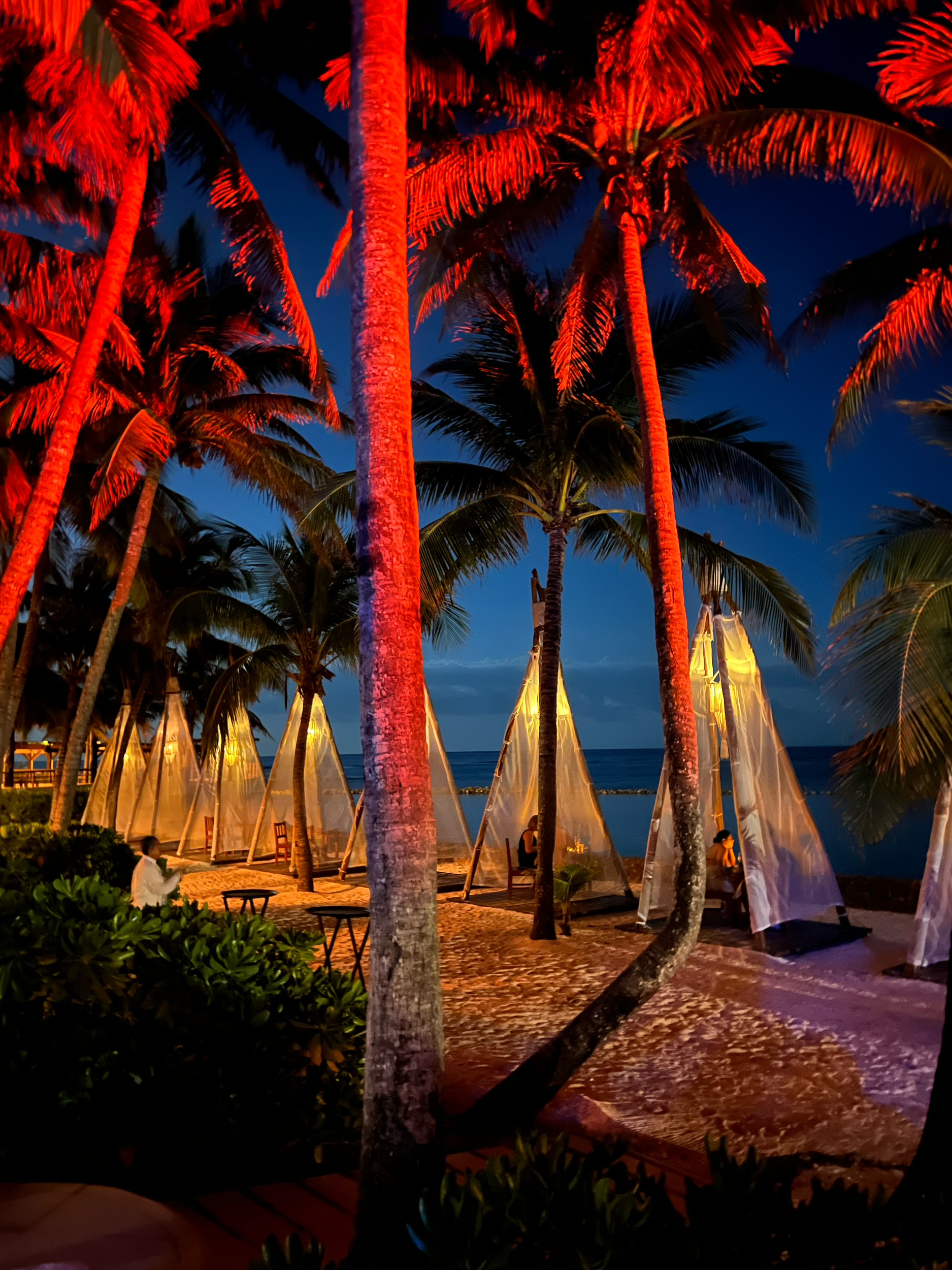 A nighttime view of palm trees and beachside lounge chairs under illuminated shade sails, with colorful lighting reflecting on the trees. The sky is dark blue, indicating evening or night.