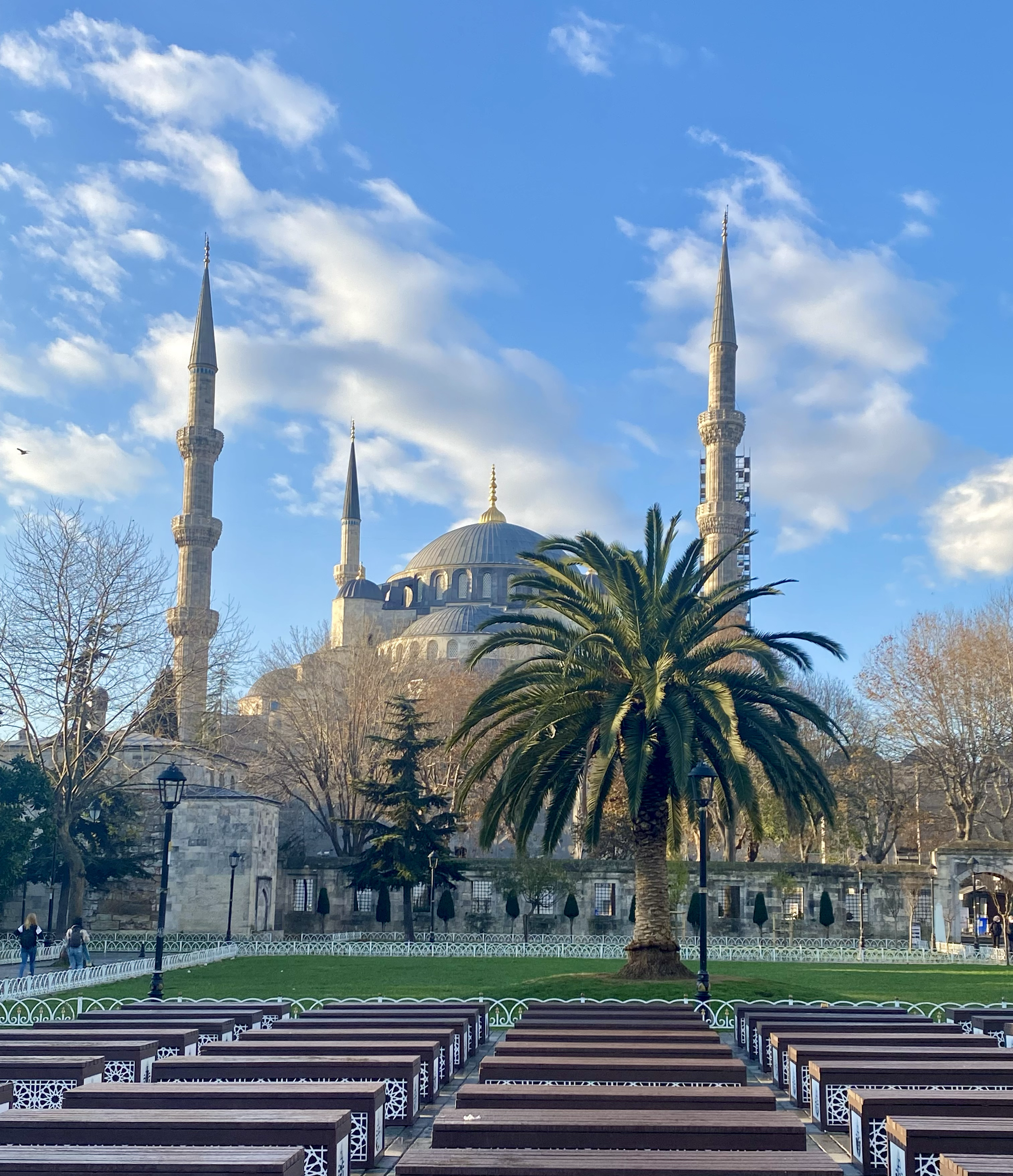 An outdoor scene featuring a courtyard with rows of wooden benches and black umbrellas, a large palm tree, a historic mosque with minarets and a dome, and a partly cloudy blue sky.