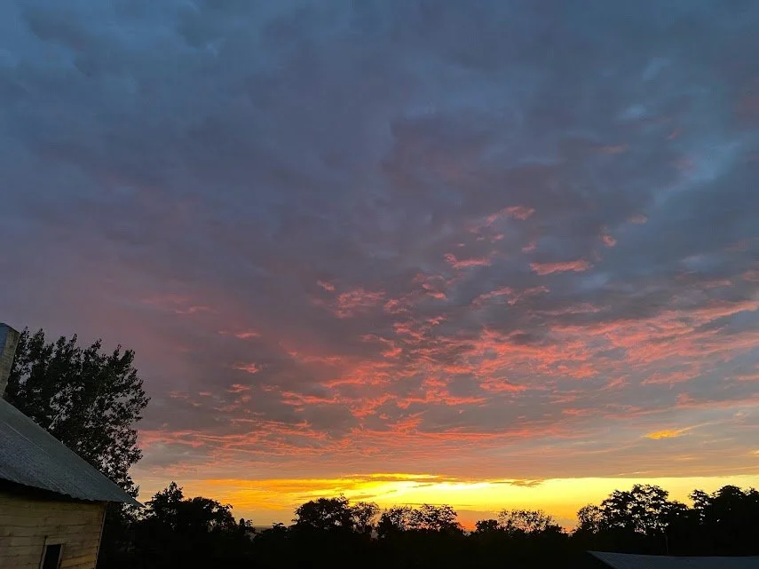 A sunset with colorful clouds in the sky and silhouettes of trees and buildings in the foreground.
