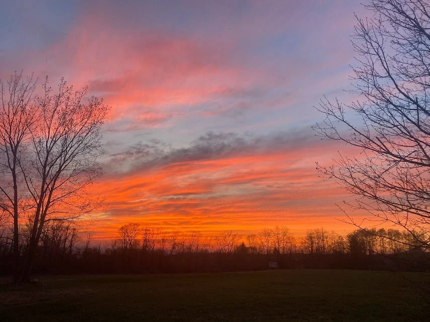 A colorful sunset sky with shades of pink, orange, and purple, with bare trees silhouetted in the foreground.