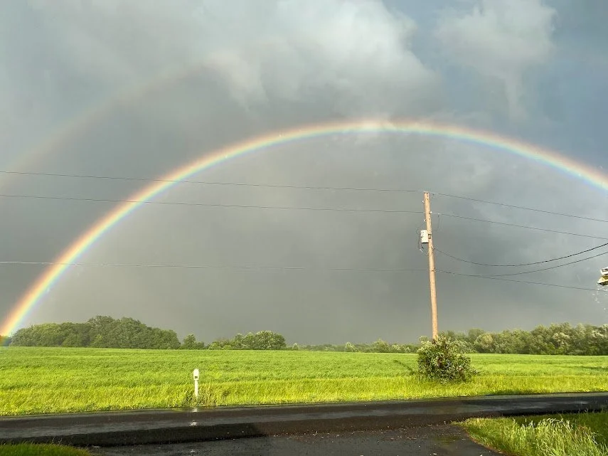 A double rainbow spanning across a cloudy sky over a green field with trees, a utility pole, and power lines.