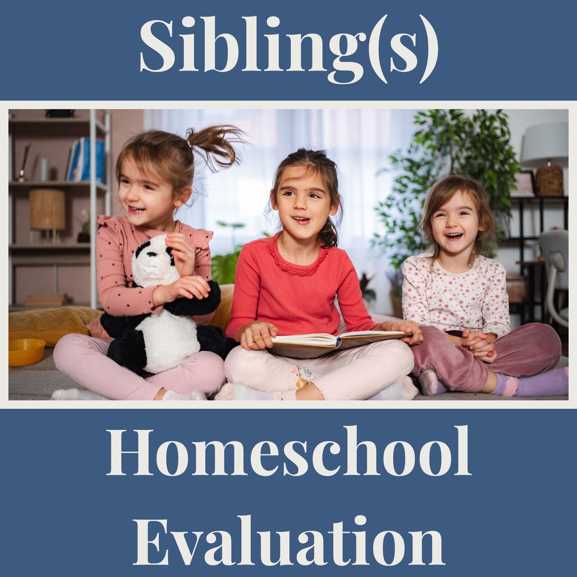 Homeschool Evaluation: Sibling Addition