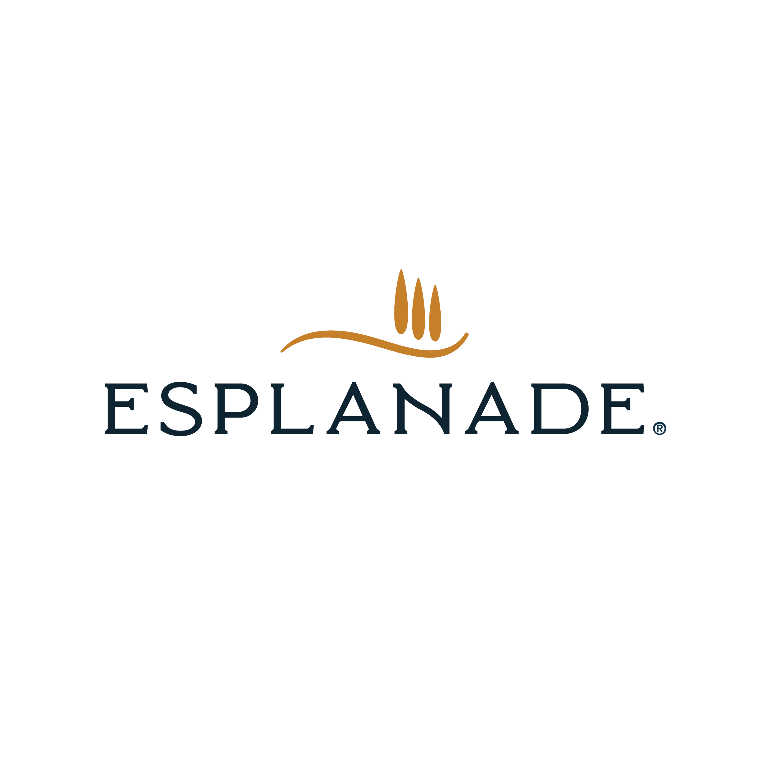 A logo with the word 'ESPLANADE' in dark blue letters and a stylized brown flame above.