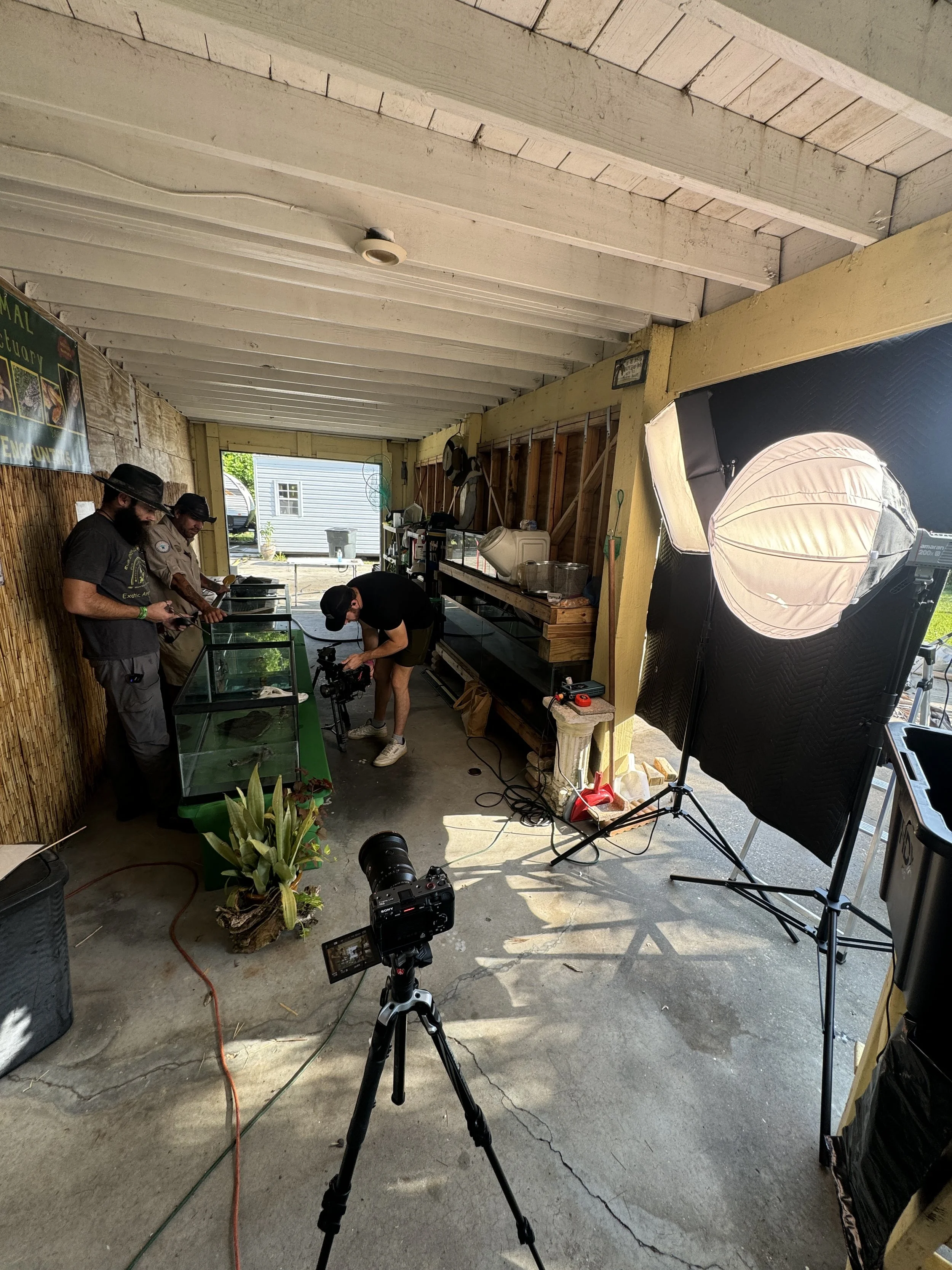 Inside a garage with a photography setup, including professional lighting, tripods, cameras, and a large glass enclosure containing plants. Three people are working on the setup, one with a camera and two others examining the equipment or the enclosu