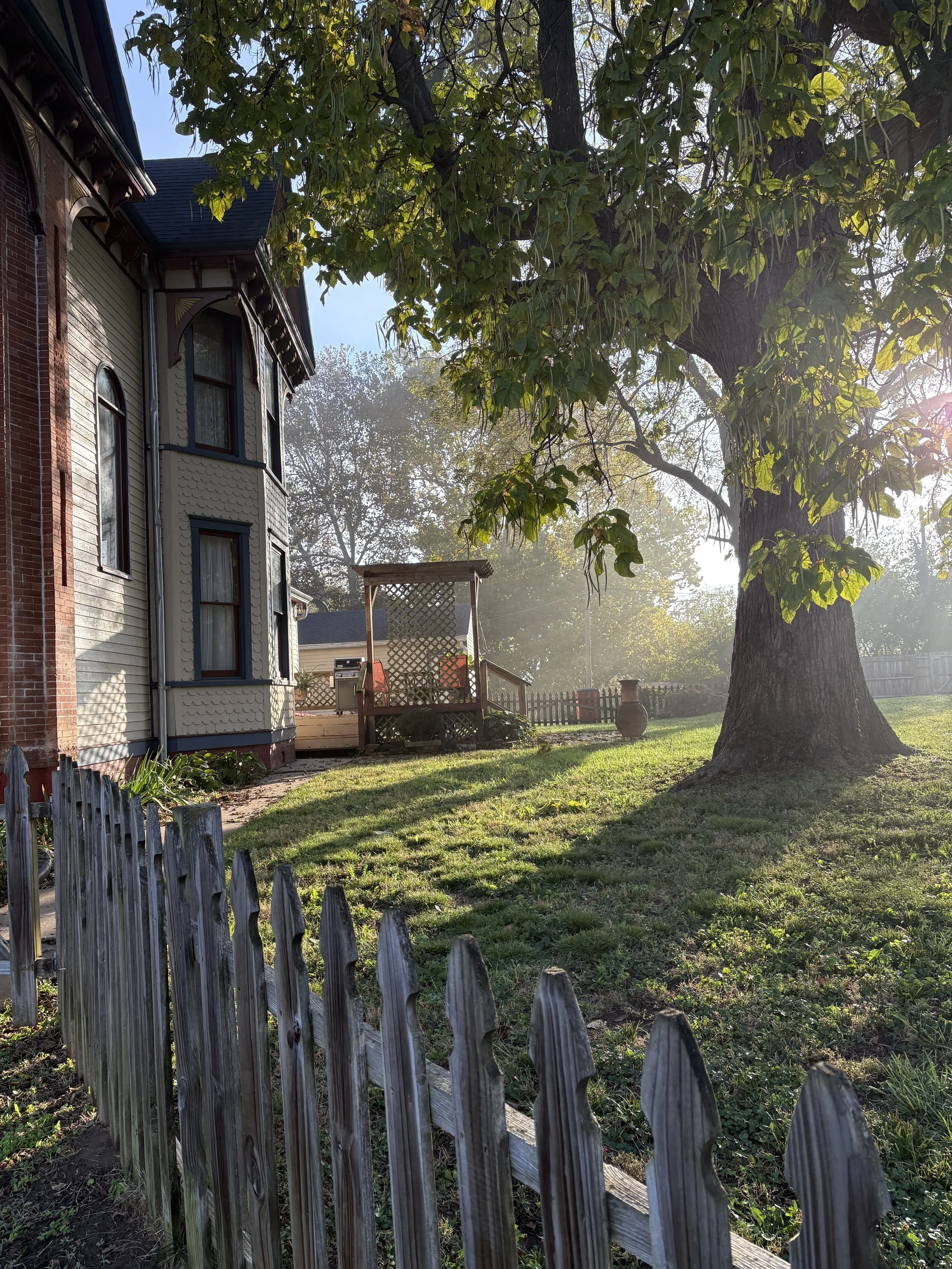 A backyard scene with a large tree, a wooden fence, and a house with Victorian-style architecture. The scene is bathed in warm sunlight.
