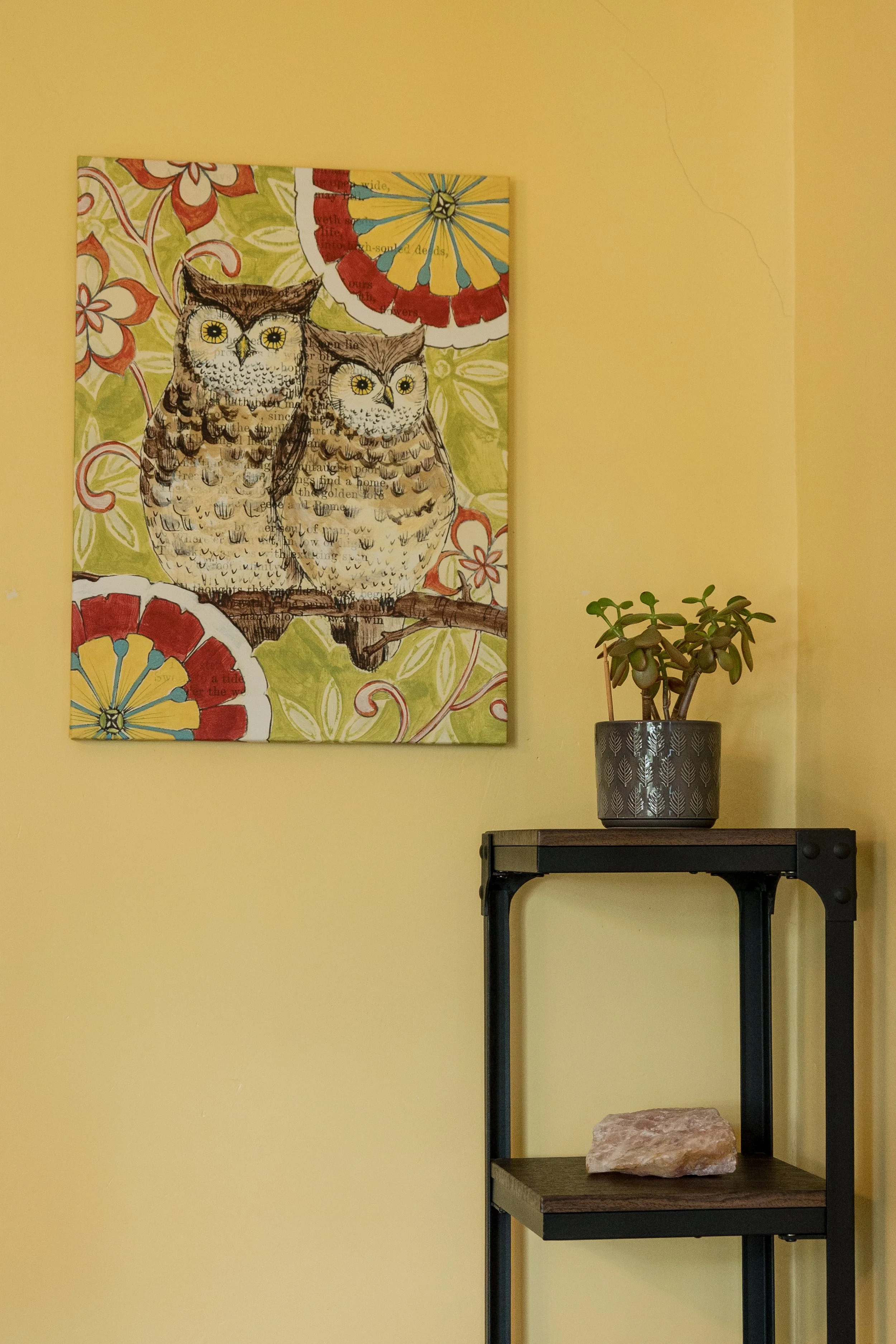 A colorful owl-themed artwork featuring two owls perched on a branch against a green patterned background. The artwork has vibrant flowers and a decorative umbrella-like element in the upper right corner. To the right, there is a black shelf with a potted succulent plant and a pinkish rock.