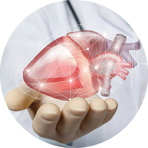Cardiology