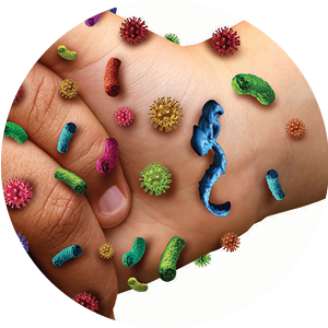 Infectious Disease
