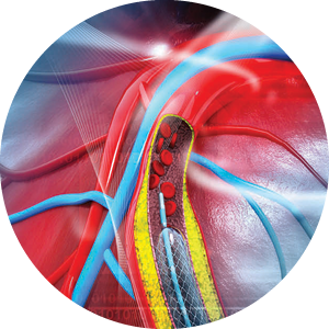 Vascular and Thoracic Surgery