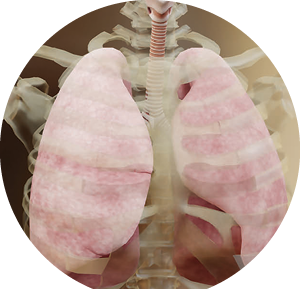 Pulmonary Medicine