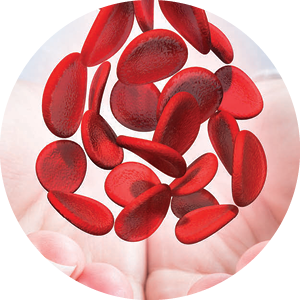 Hematology