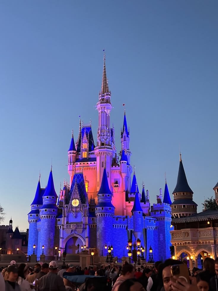 Get To Know Us From Our Walt Disney World Favorites