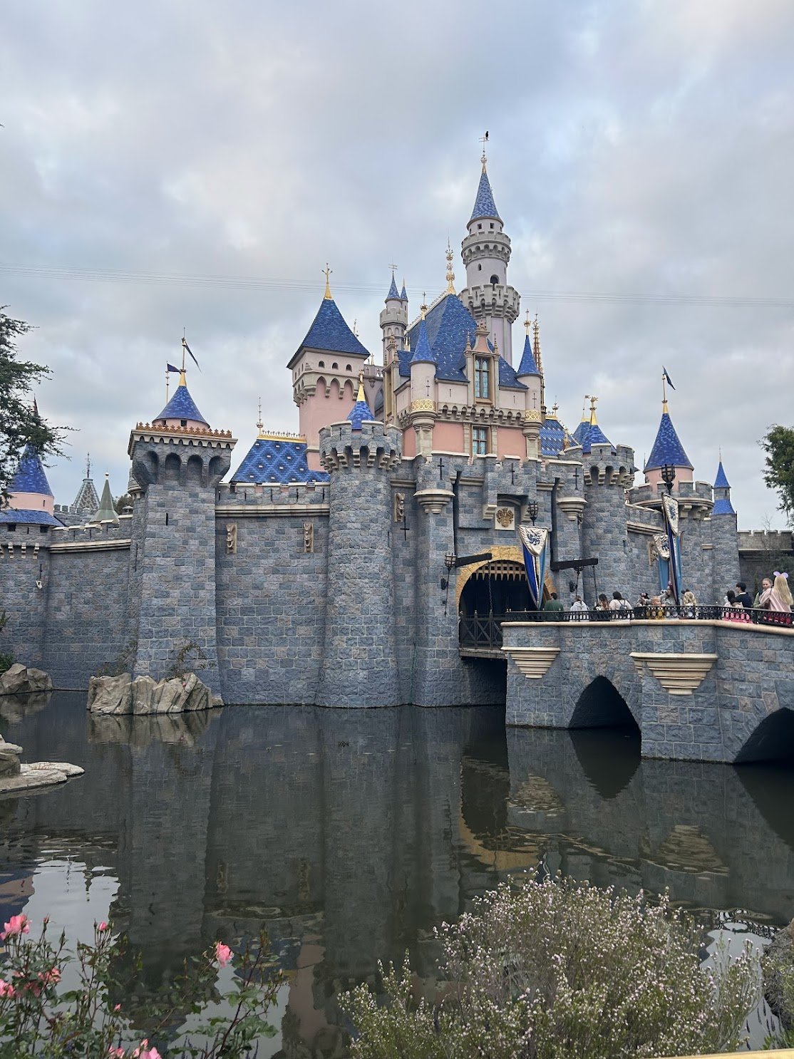 Get To Know Us From Our Disneyland Favorites
