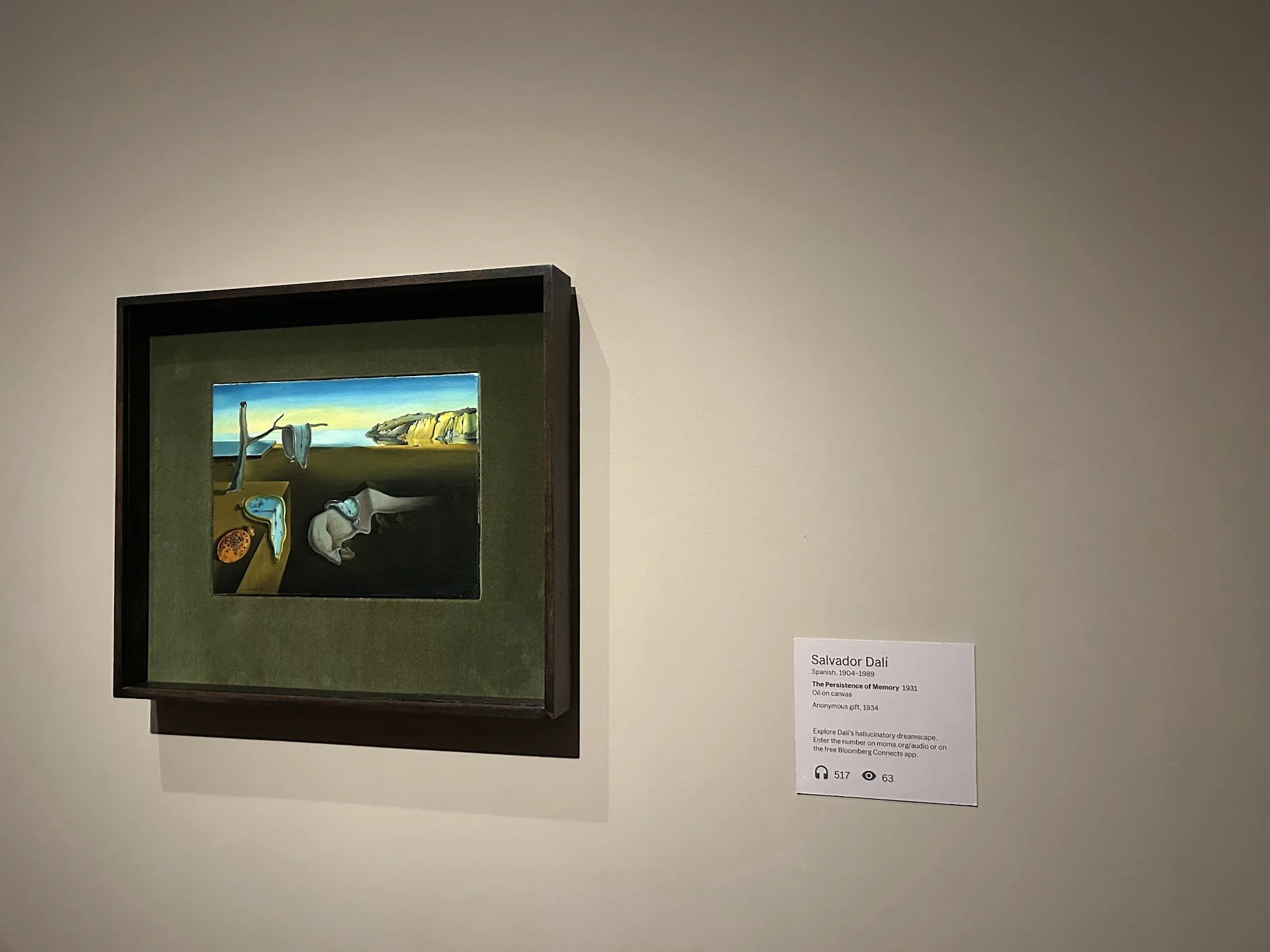 dali painting.jpg