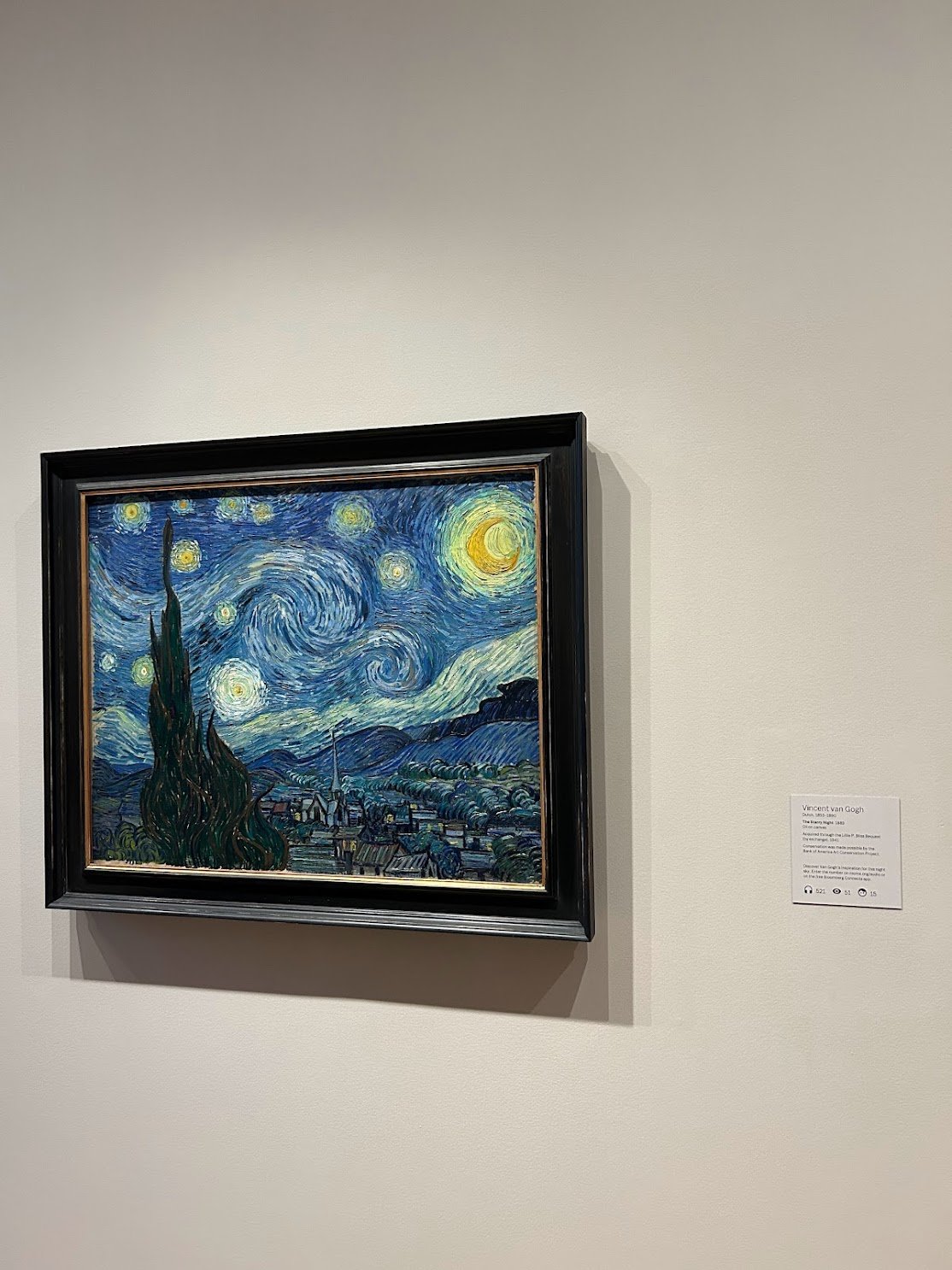 starry night.jpg