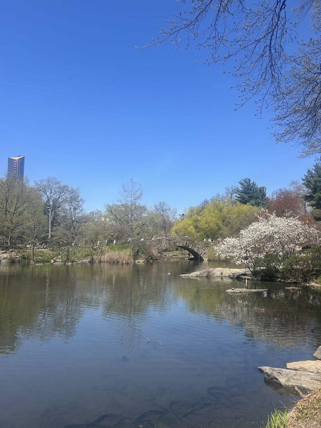 central park.jpg