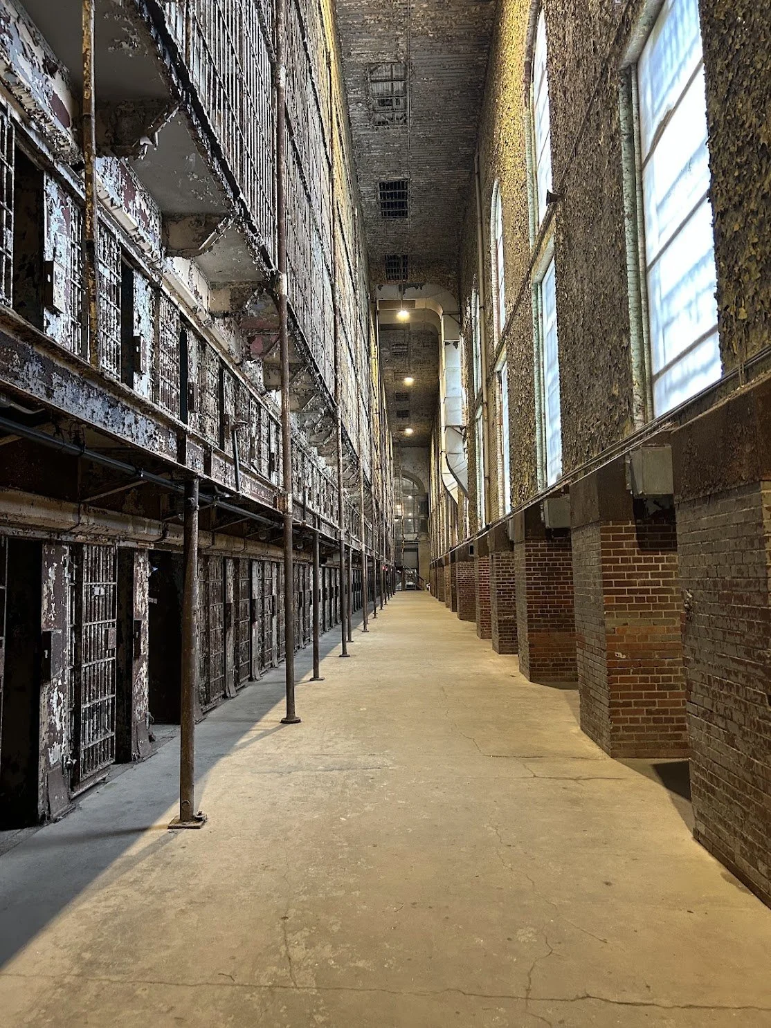 rows of cells 3.jpg