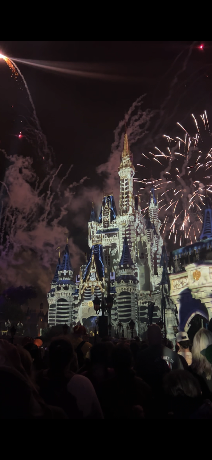 castle fireworks.PNG