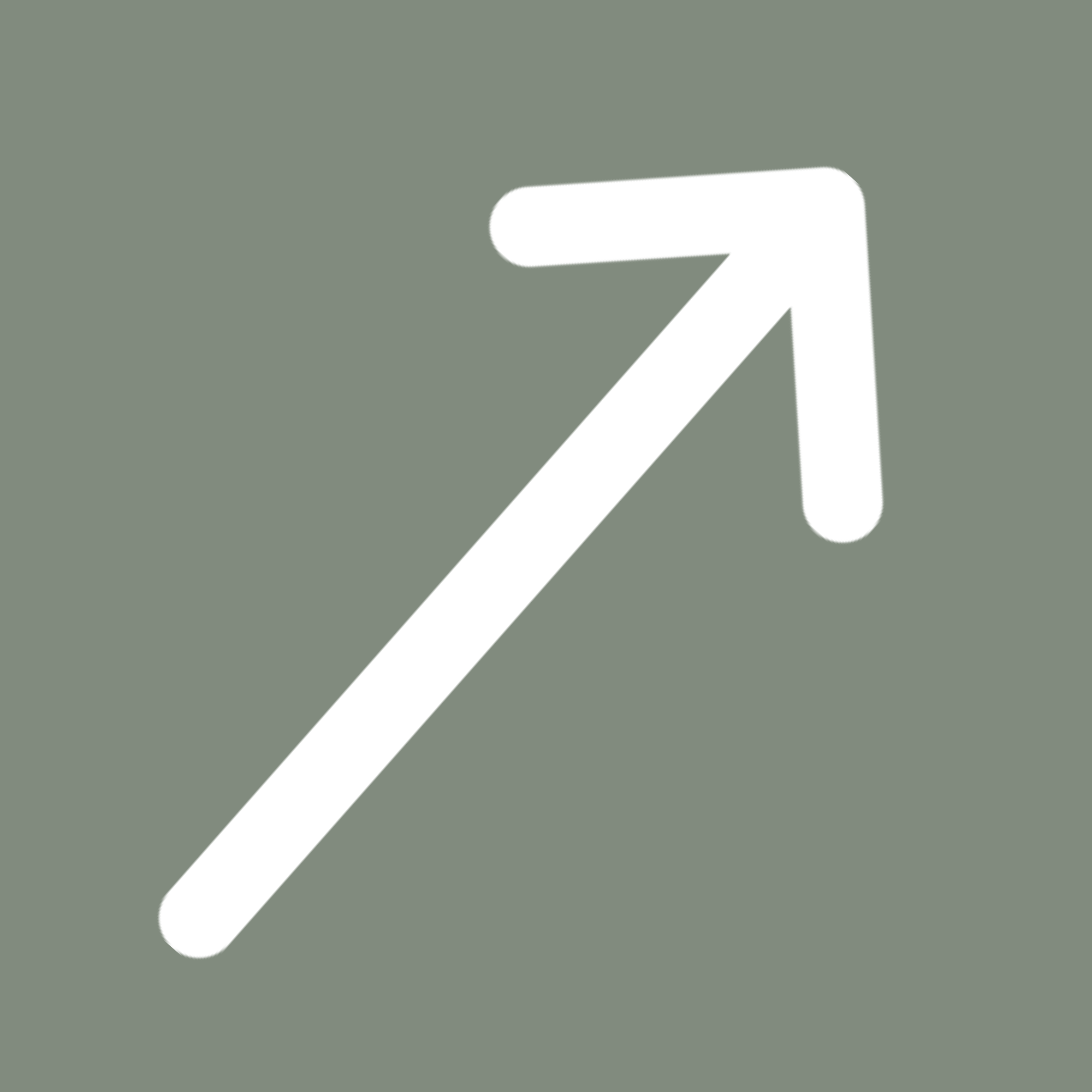Decorative arrow pointing to U.S. Travel and International button.