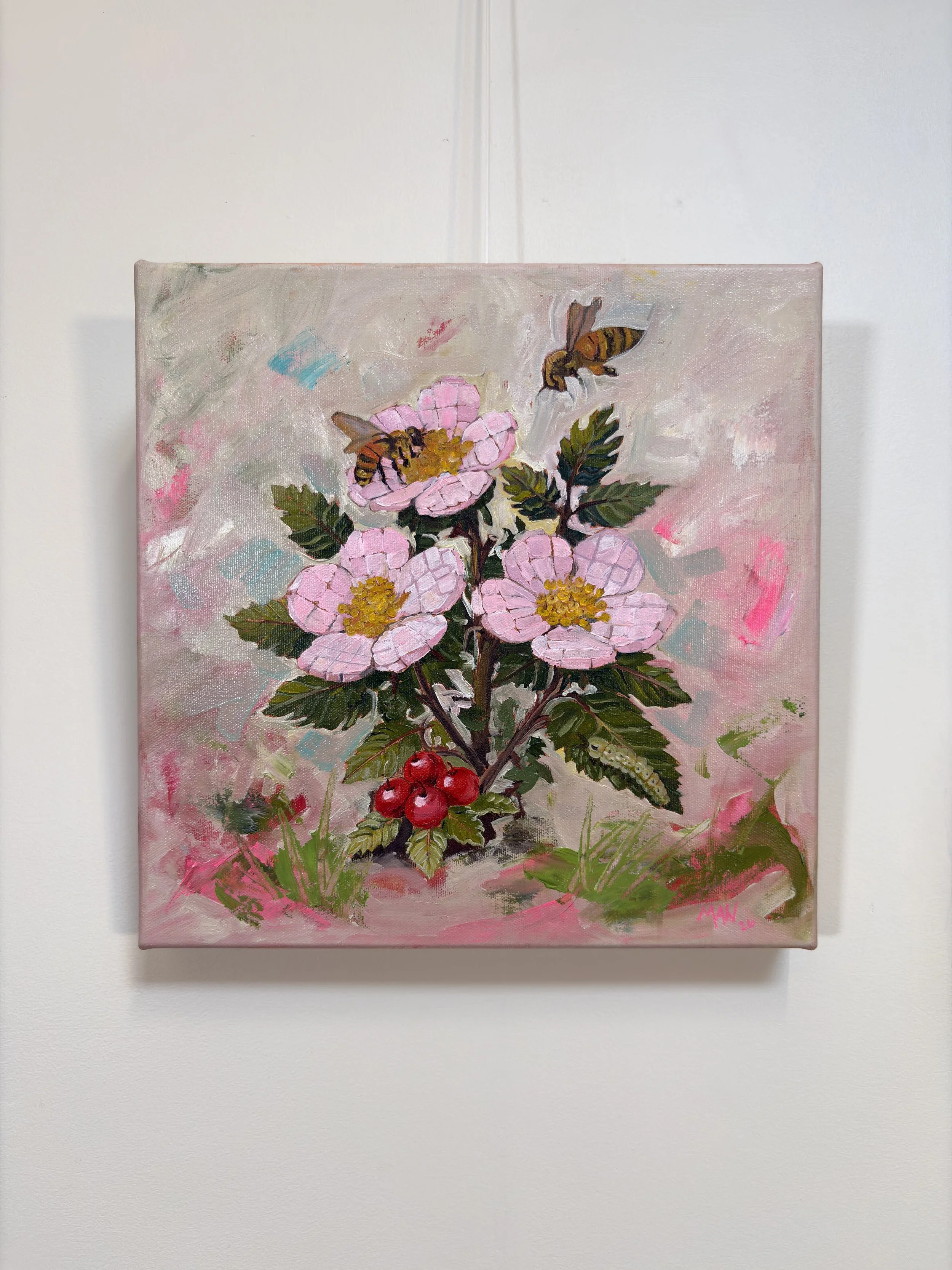 Wild Rose_2026_oiloncanvas_12”x12”inches_Marlessa Wesolowski.j1.jpeg