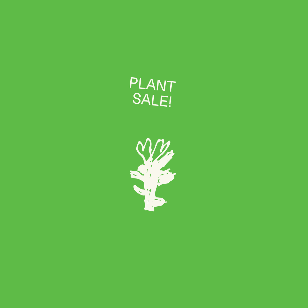 PLANT SALE