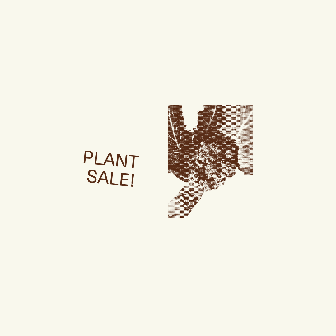PLANT SALE