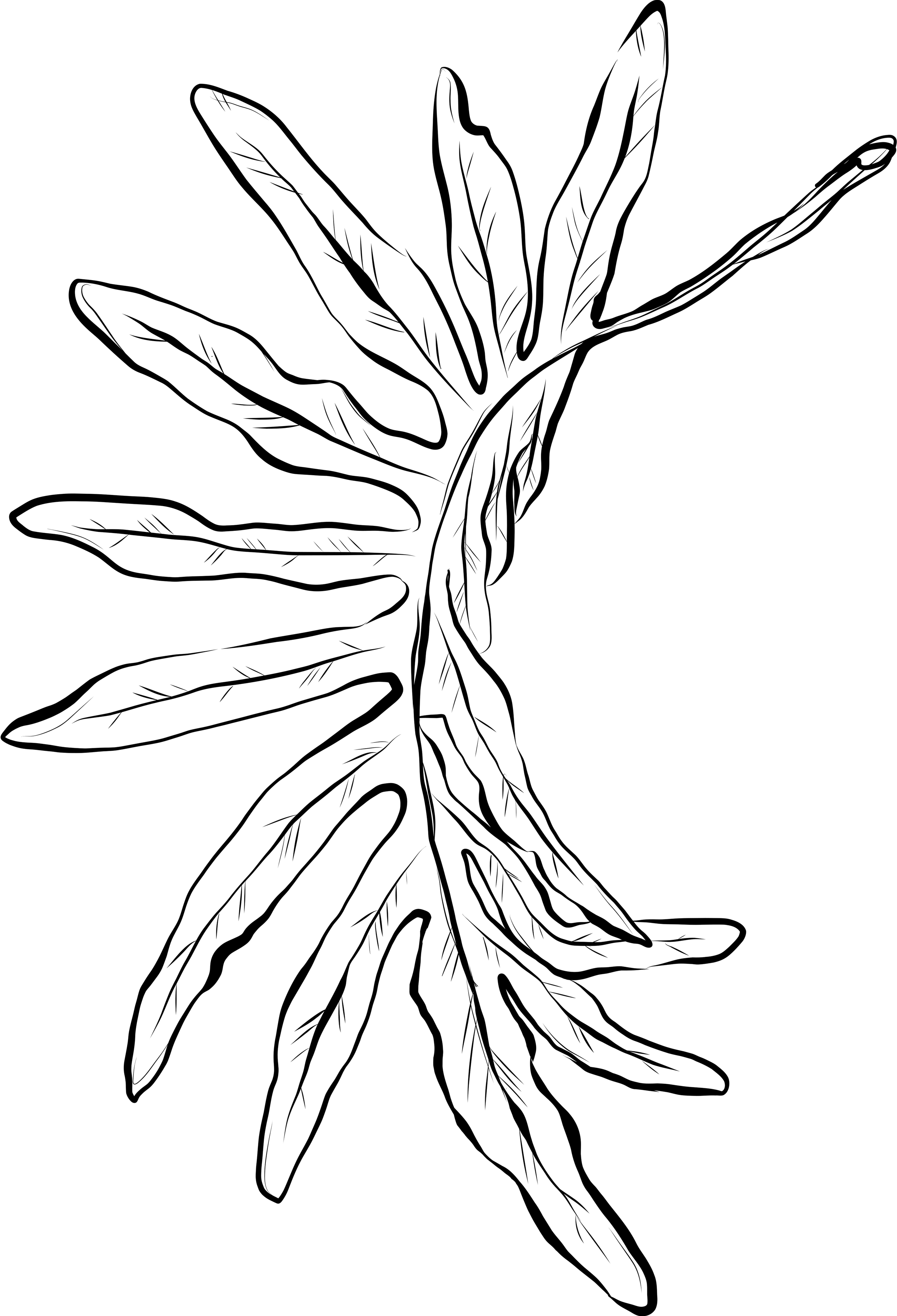 Illustration of a falling leaf