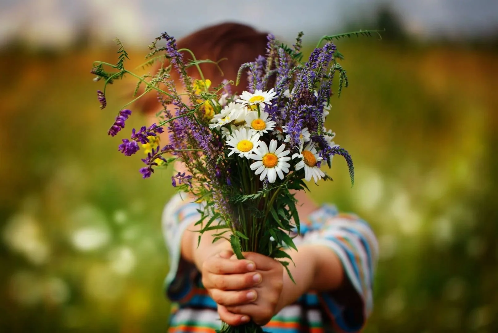 A boy holding out freshly picked flowers
