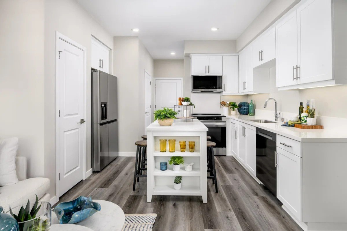 Tricon-Elk-Grove-Model-2.jpeg